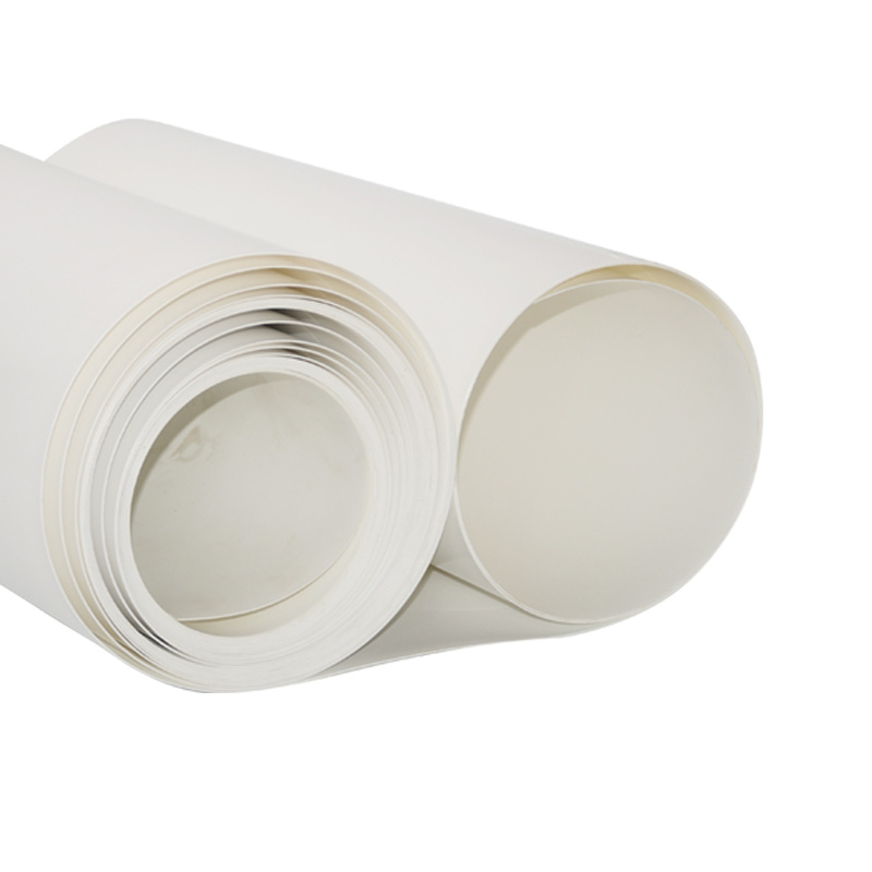 0.7 MM Thick White Matt Vacuum Press Thermoforming Plastic PP Sheet In Roll